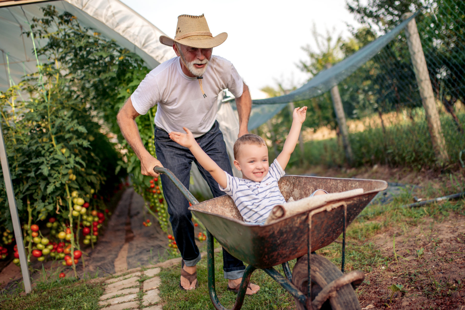 Happy grandfather and his grandson in garden